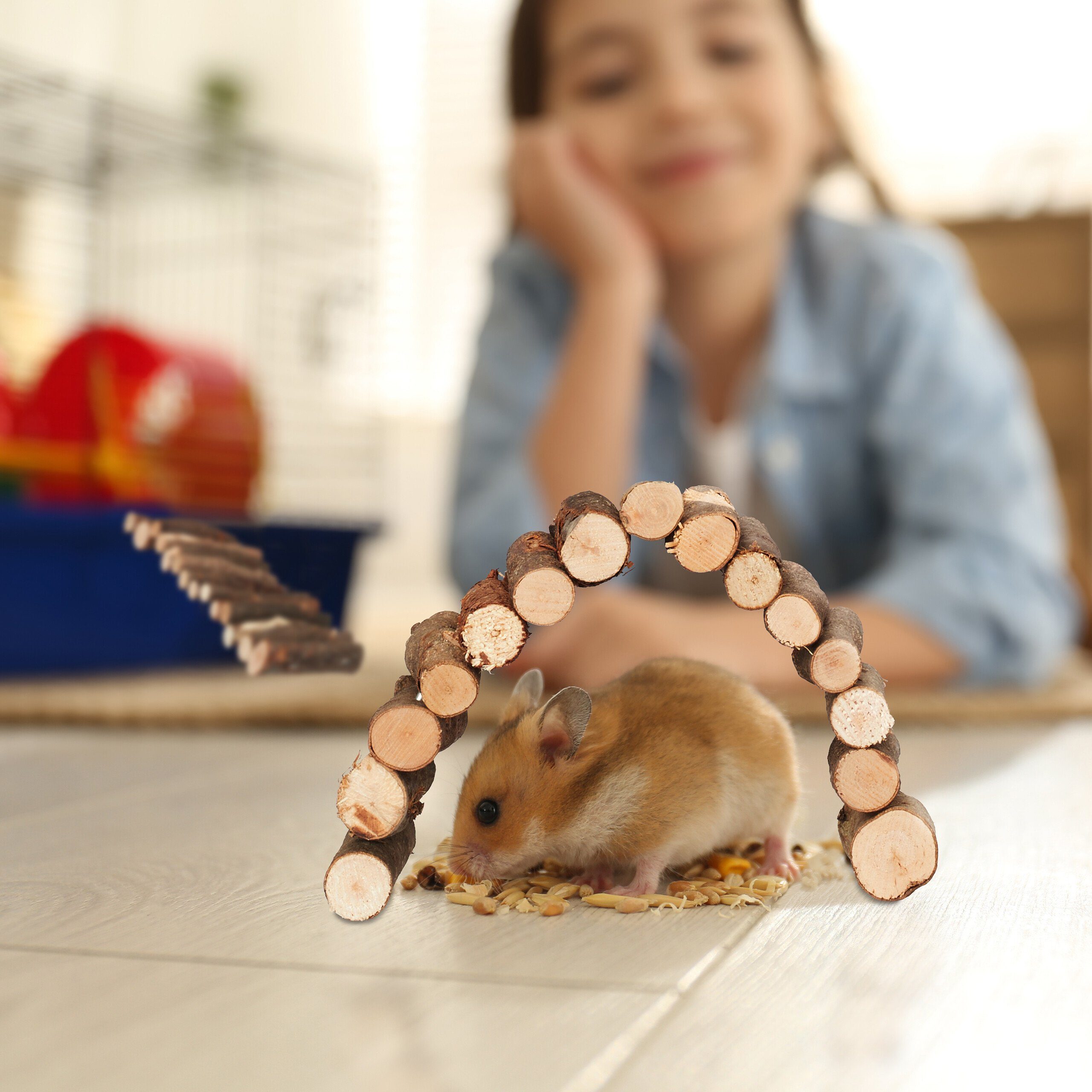 relaxdays Kleintierklettergerüst 2er Set Nagerbrücke aus Holz 2 Größen