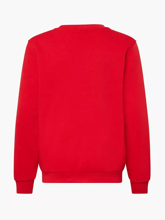 Nike Sweatshirt