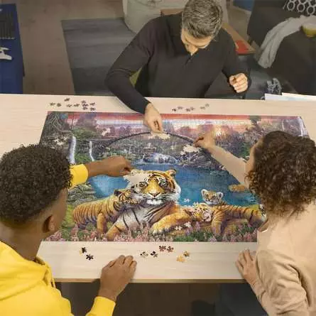 Puzzle 3000 Teile - Tiger in paradiesischer Lagune