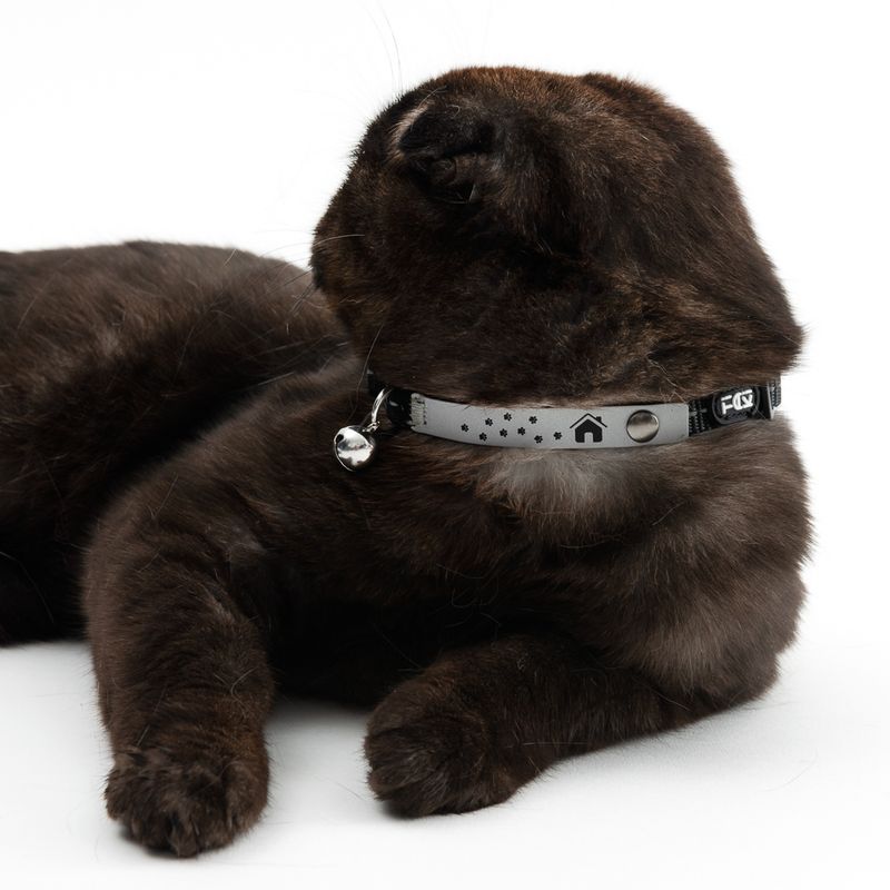 TIAKI Katzenhalsband Home zu TOP-Preisen