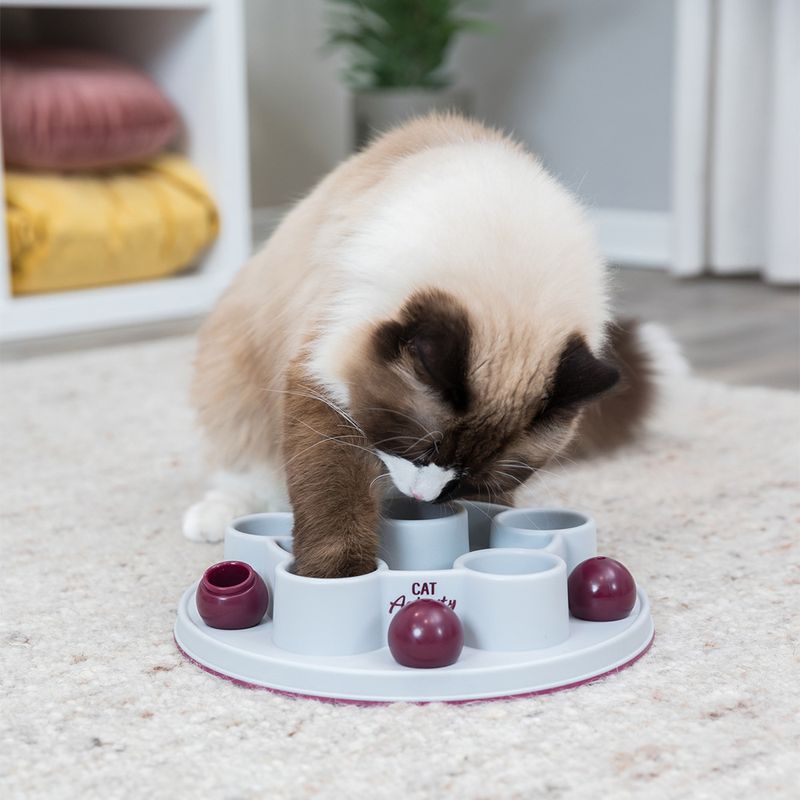 Trixie Cat Activity Pentagon zu TOP-Preisen
