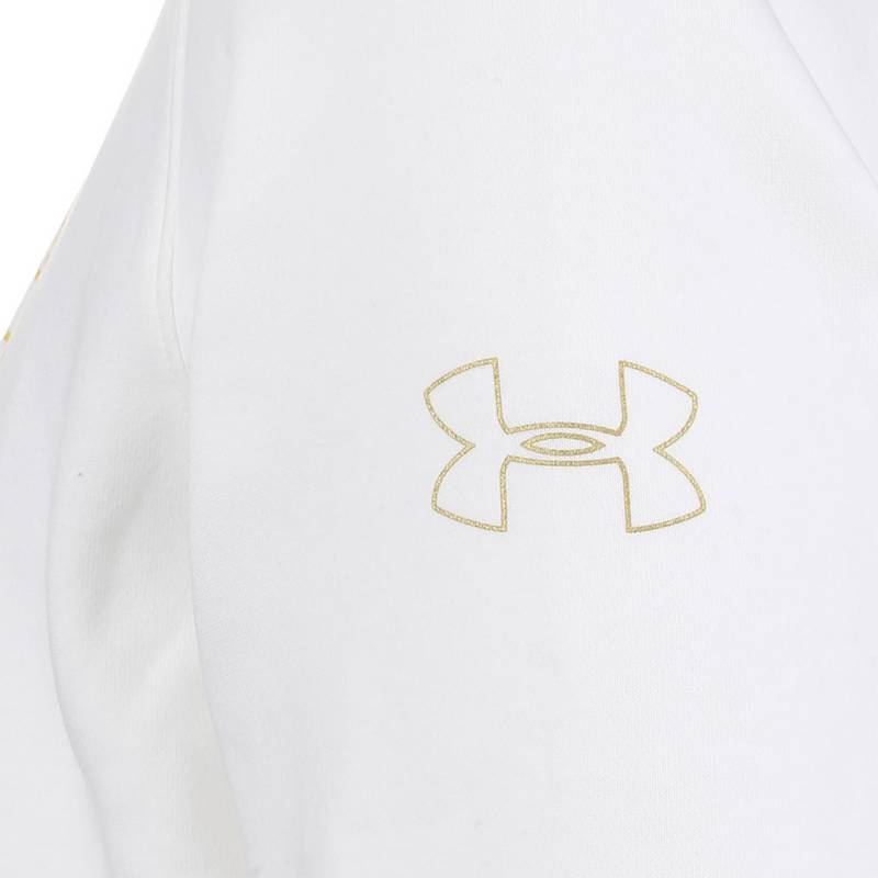 Under Armour Baseline Fleece Hoodie Herren