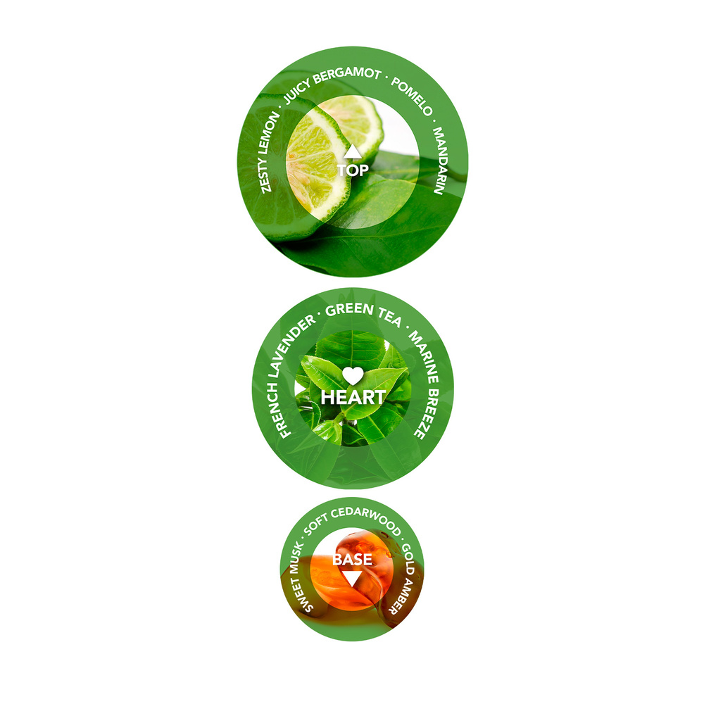 Revlon Traitement Capillaire Uniqone Parfum De Thé Vert 150 ml Soin des cheveux