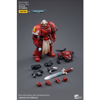Warhammer 40k Actionfigur: Blood Angels Veteran Vigna