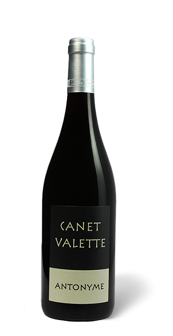 Languedoc-Roussillon Domaine Canet-Valette Antonyme Saint-Chinian  2019  75 cl - Rouge