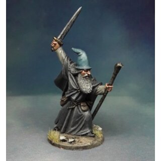 Grey Wizard & Armoured Burglar
