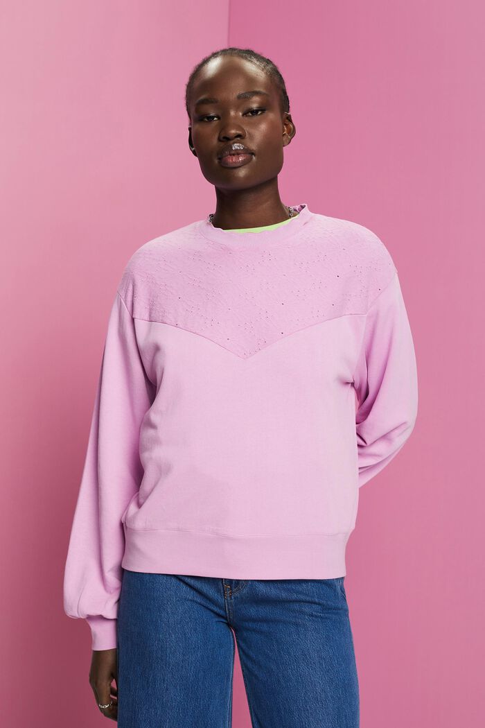 Sweatshirt mit Stickerei