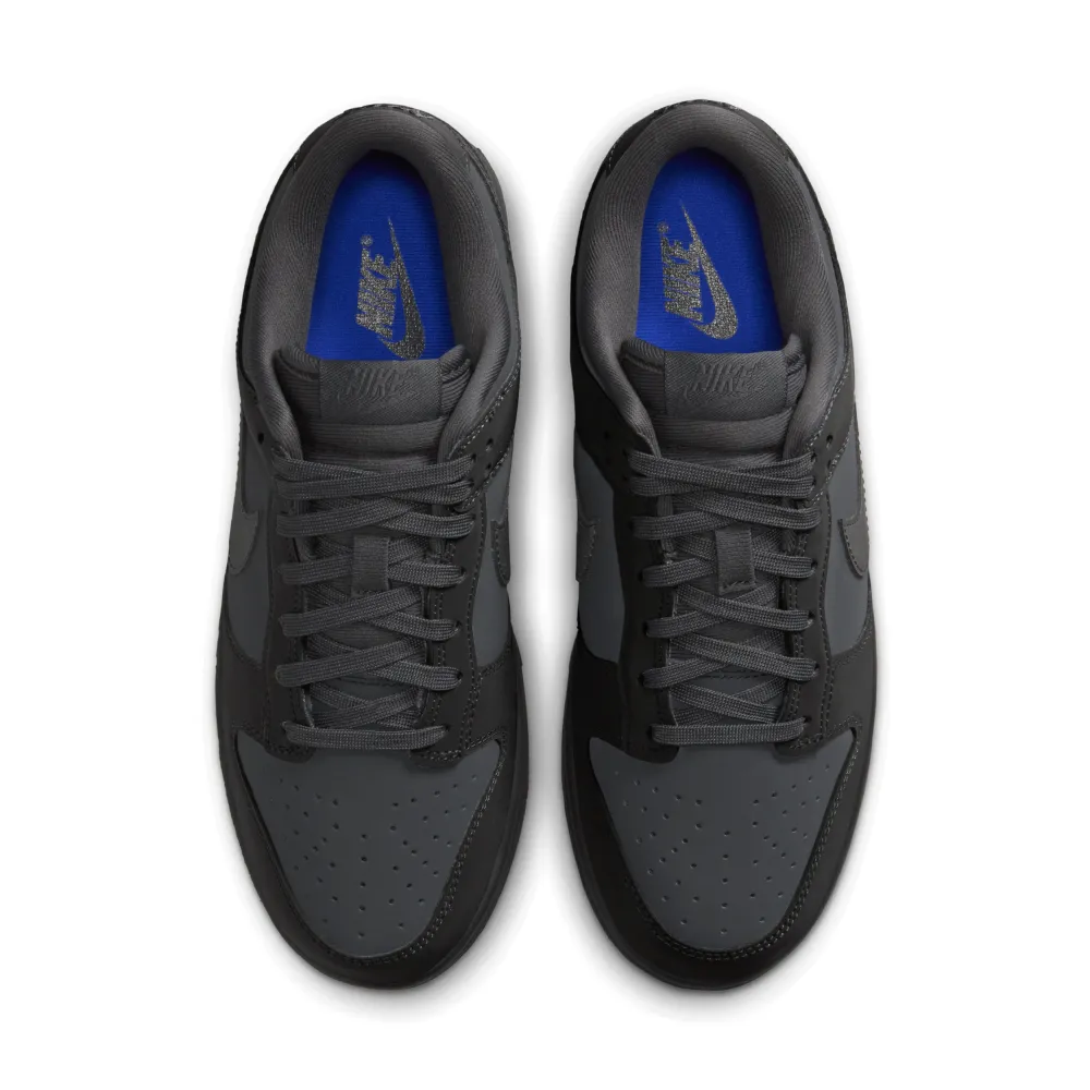 Nike WMNS Dunk Low FZ3781-060 / grau