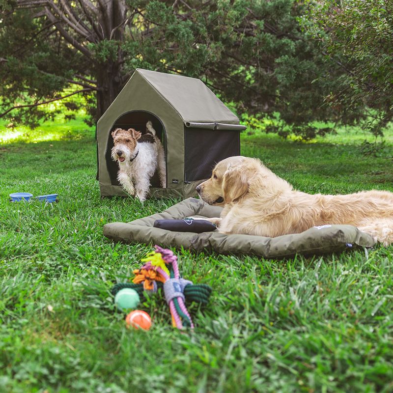 Nomad Tales Spirit Tragbare Hundehütte zu TOP-Preisen | bitiba %