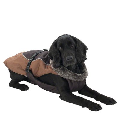 Hundemantel Grizzly II