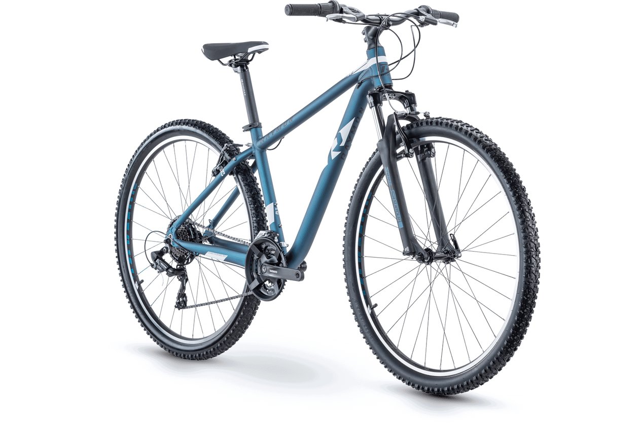 Raymon NineRay 1.0 - 2021 - 29 Zoll - Diamant