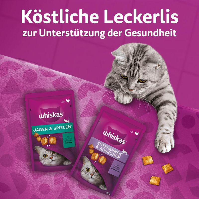 Whiskas Snacks Groom & Care zu TOP-Preisen