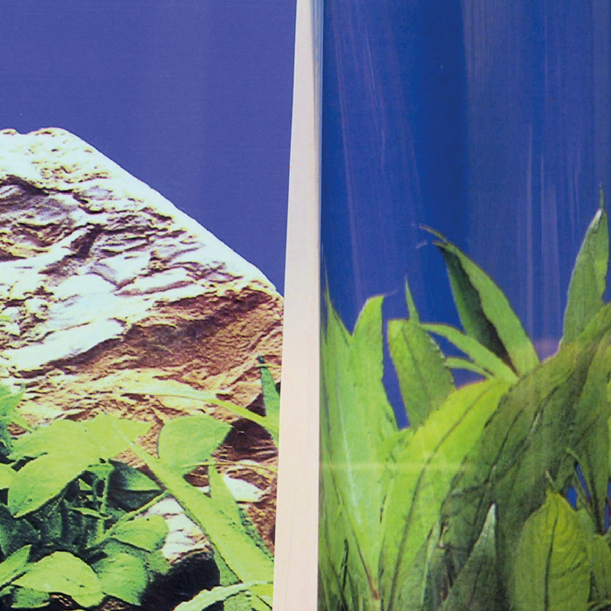 JBL FIXOL Aquarium Rückwandkleber günstig kaufen