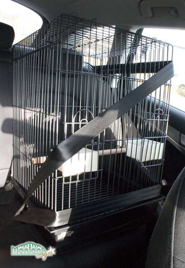 Montana Cages Käfige & Volieren Montana Cages Transportkäfig Eos hellgrau