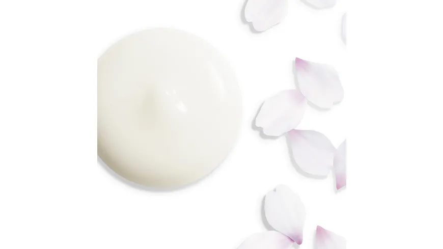 SHISEIDO White Lucent Illuminating Micro-Spot Serum