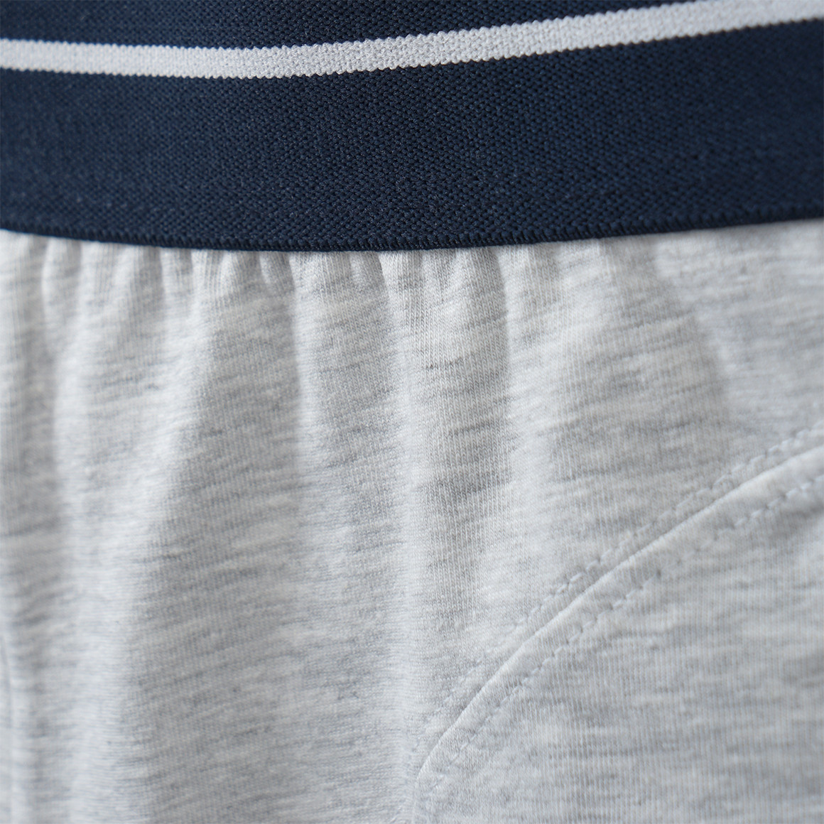 2 Jungen Boxer mit Dino-Motiv