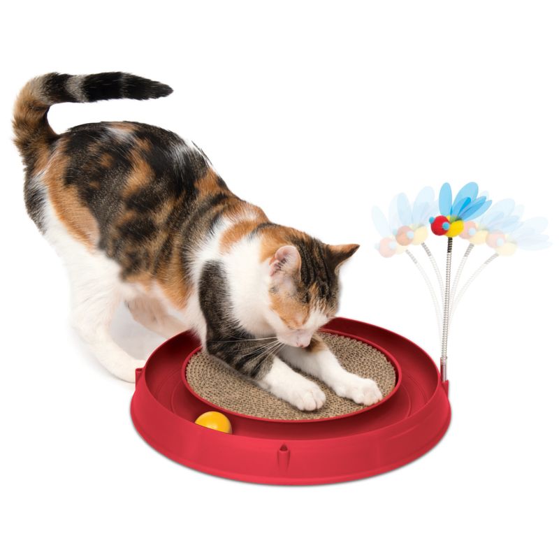 Catit Play-N-Scratch – 3 in 1 Katzenspielzeug