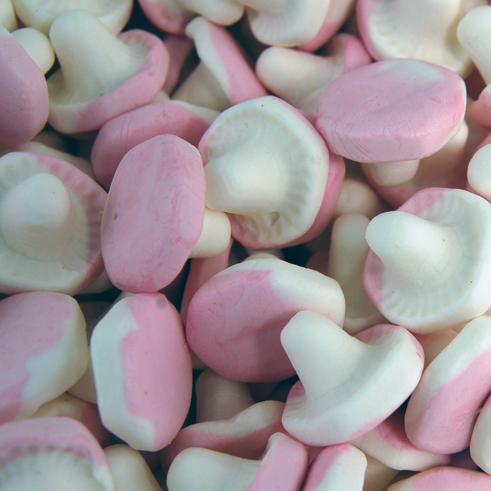 Swizzels Die Süssen Pilze 100g