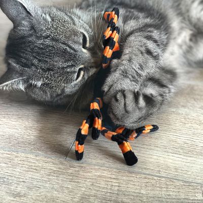 Aumüller Spinne Thekla Baldrian-Katzenspielkissen