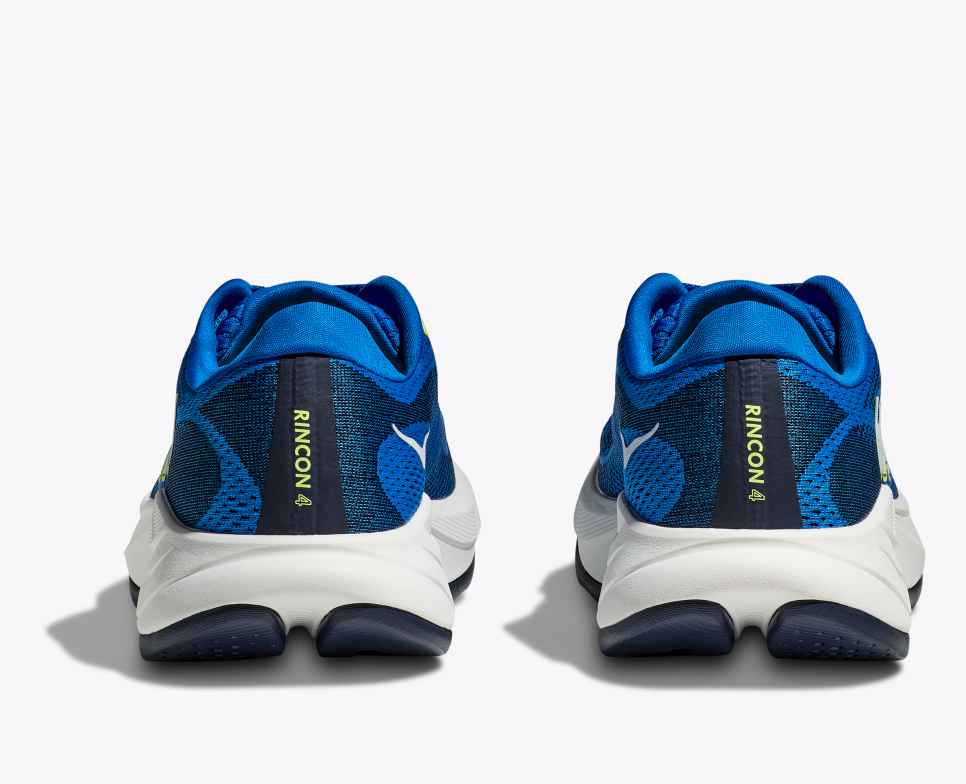 Rincon 4 Electric Cobalt / Varsity Navy