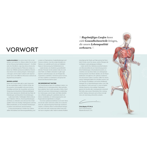 LAUFTRAINING - DIE ANATOMIE VERSTEHEN - Sportratgeber