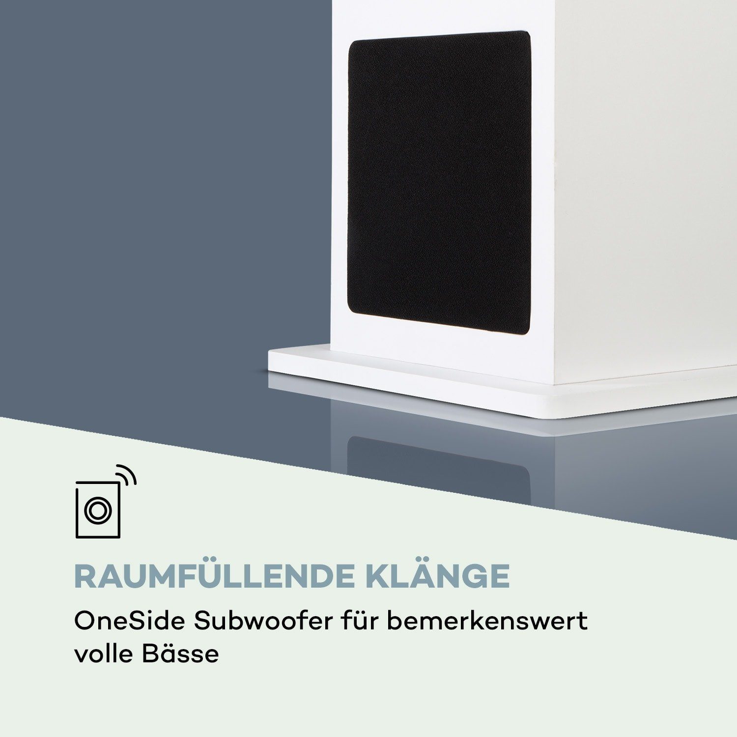 Auna Karaboom 100 Wifi Lautsprecher (Bluetooth;WLAN, 60 W)