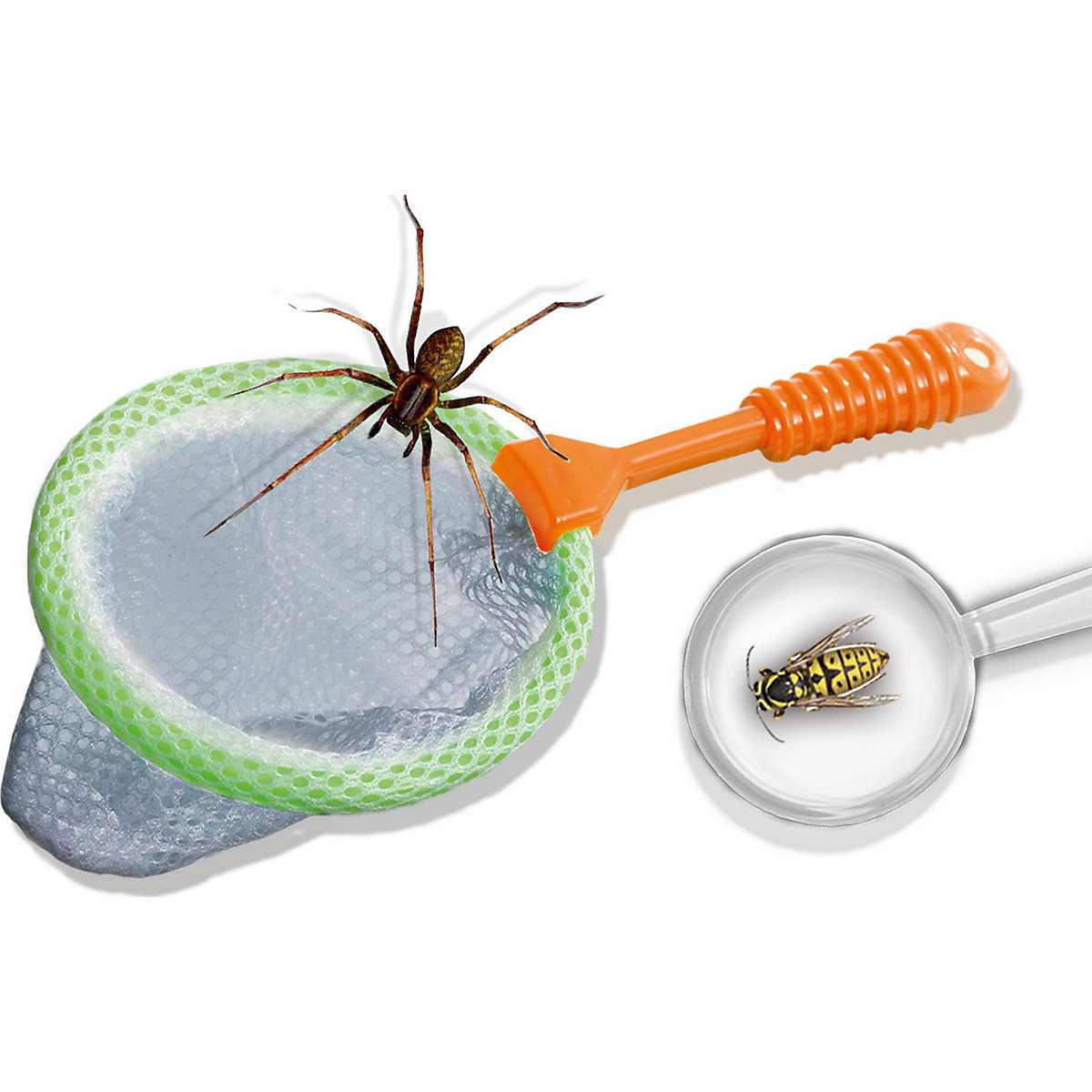 Insektenforscher