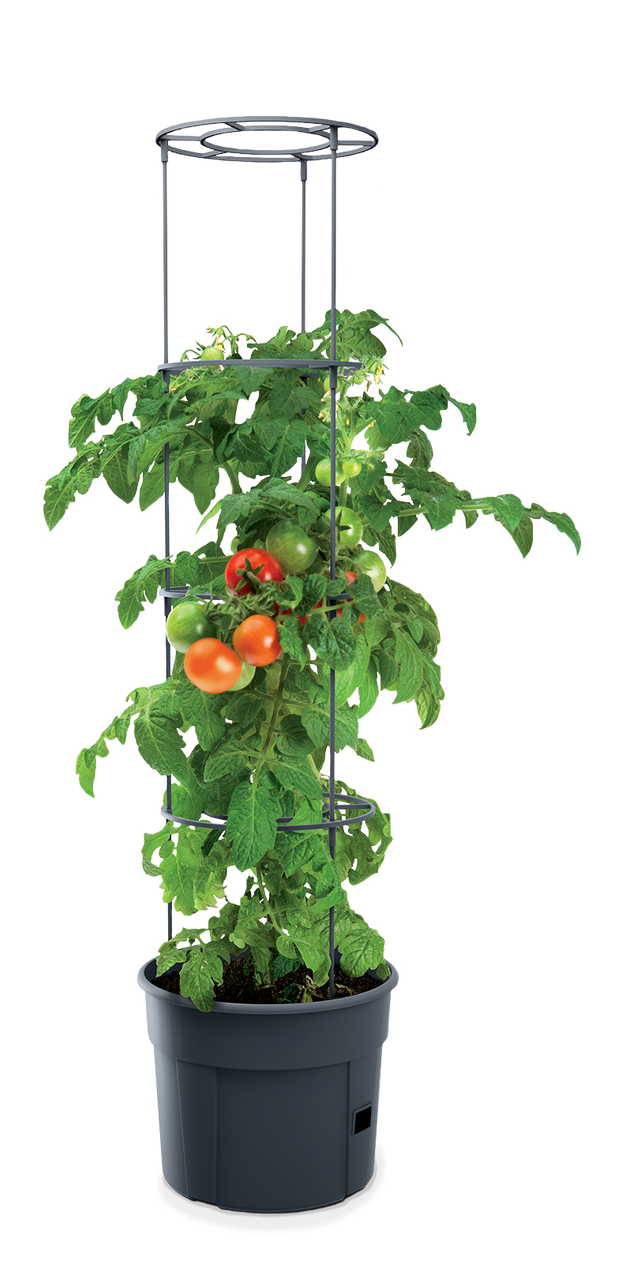 Powertec Garden Tomatenturm 28 Liter - Anthrazit 21-teilig
