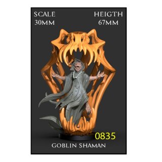 Goblin Shaman 30mm