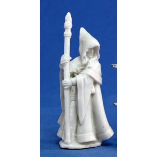 Wood Elf Wizard Anirion