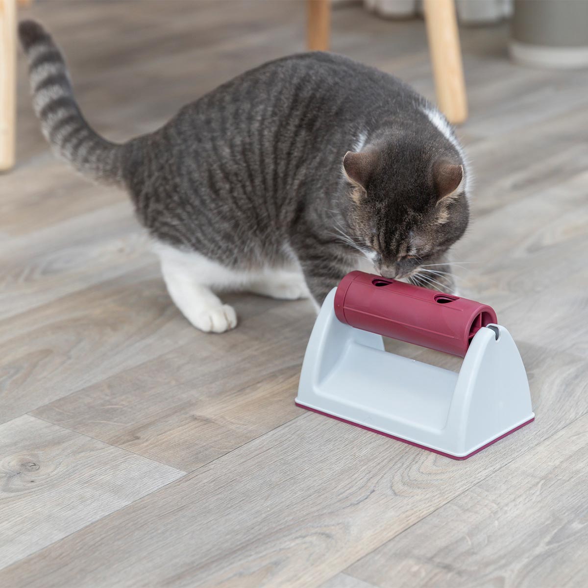 Trixie Cat Activity 