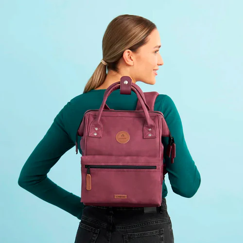 Adventurer Small Delhi backpack, burgundy