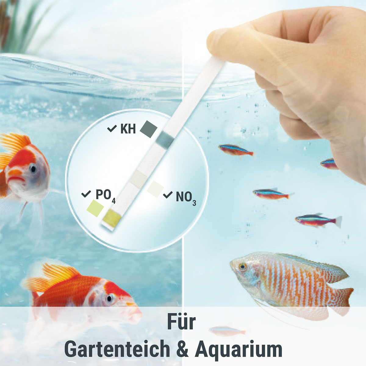 Tetra Wassertest AlgaeControl 3in1 günstig kaufen