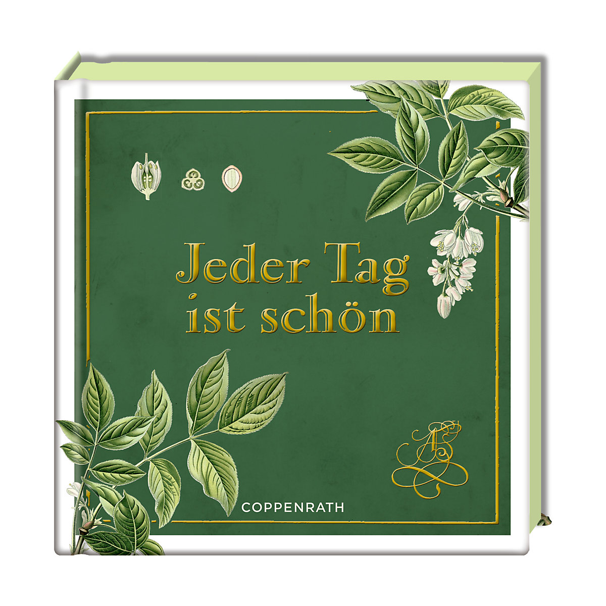Jeder Tag ist schön