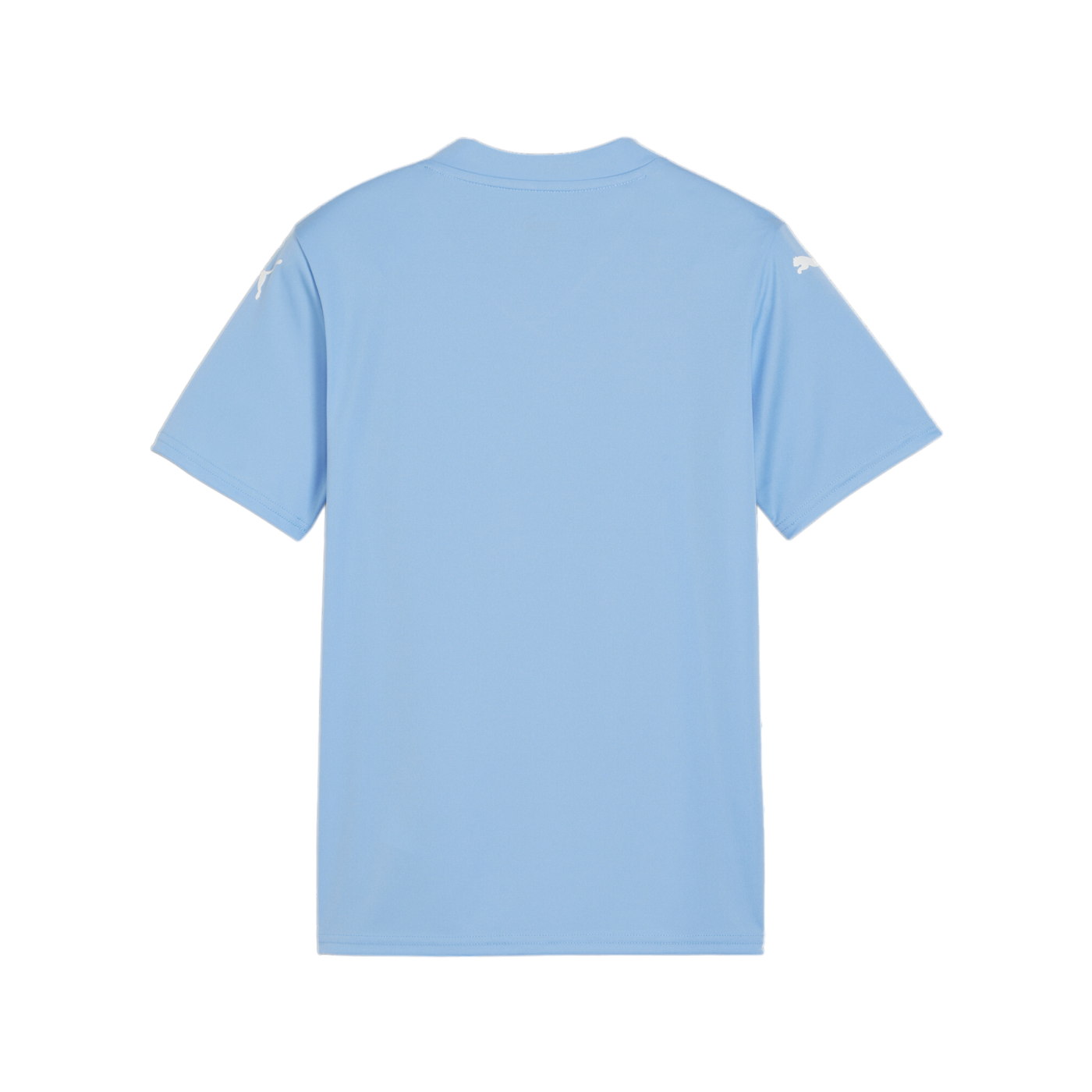 PUMA teamGLORY Trikot Kids Blau Weiss Blau F18