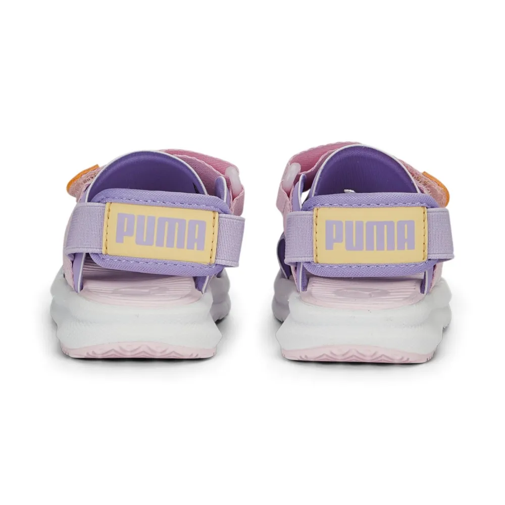 PUMA EVOLVE AC 389148-05 / lila