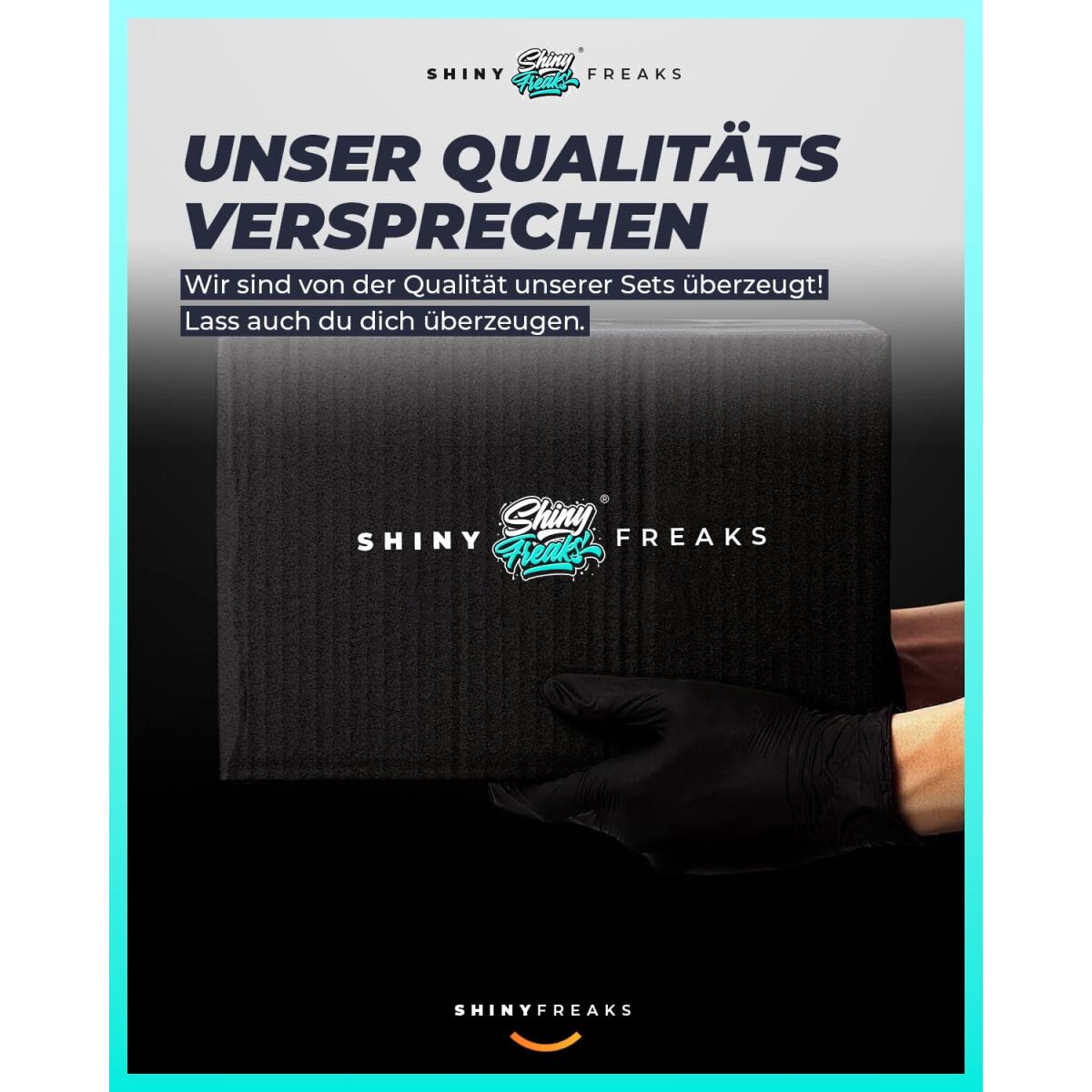 Felgenreiniger Set Dr. Wack - P21S High End