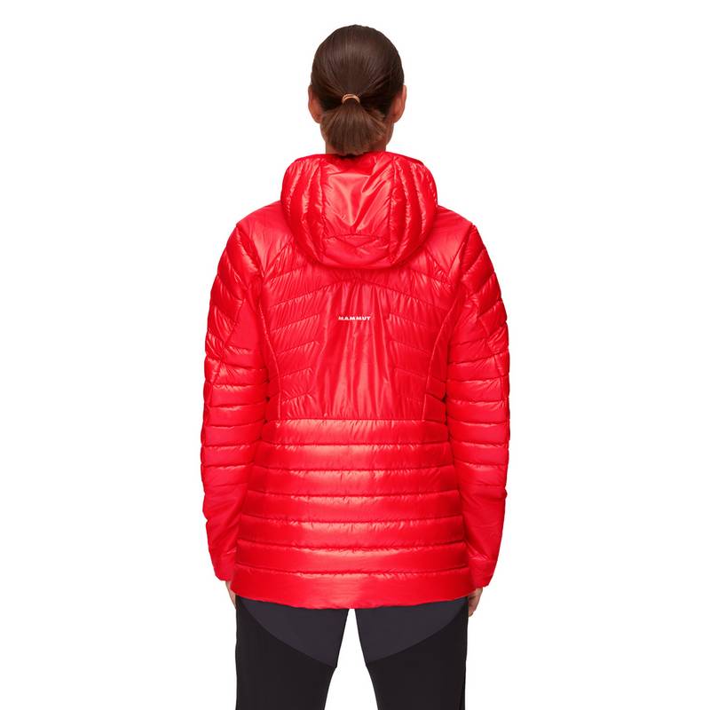 Mammut Eigerjoch Advanced Hooded Daunenjacke Damen