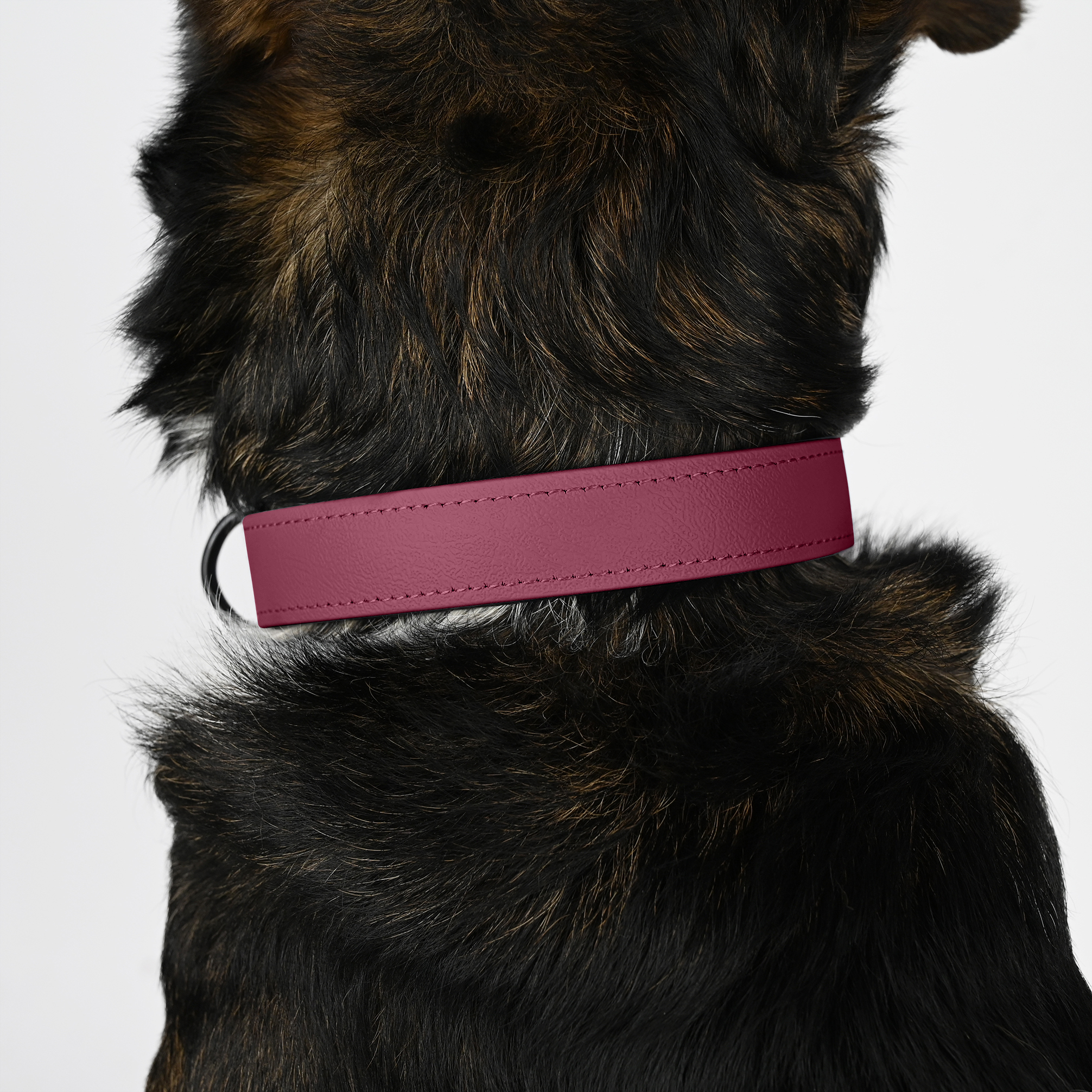 THE DOG IDEA Hundehalsbänder THE DOG IDEA Biothane Halsband Bordeaux pfirsich XS