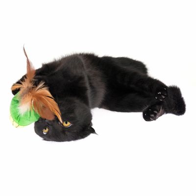 TIAKI Katzenspielzeug Set Veggies mit Katzenminze
