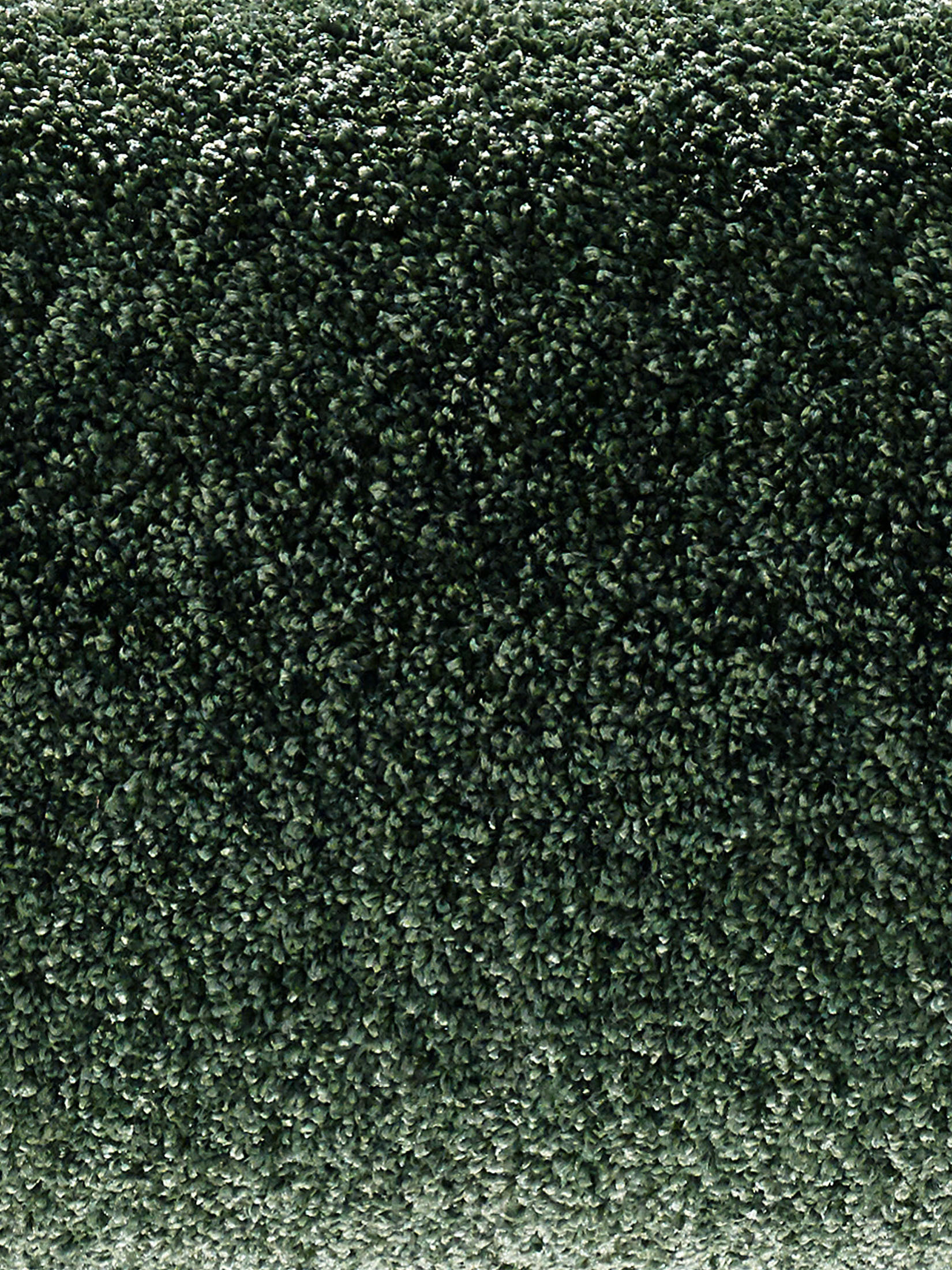 Symphonie Velours-Teppichboden, Olive 27