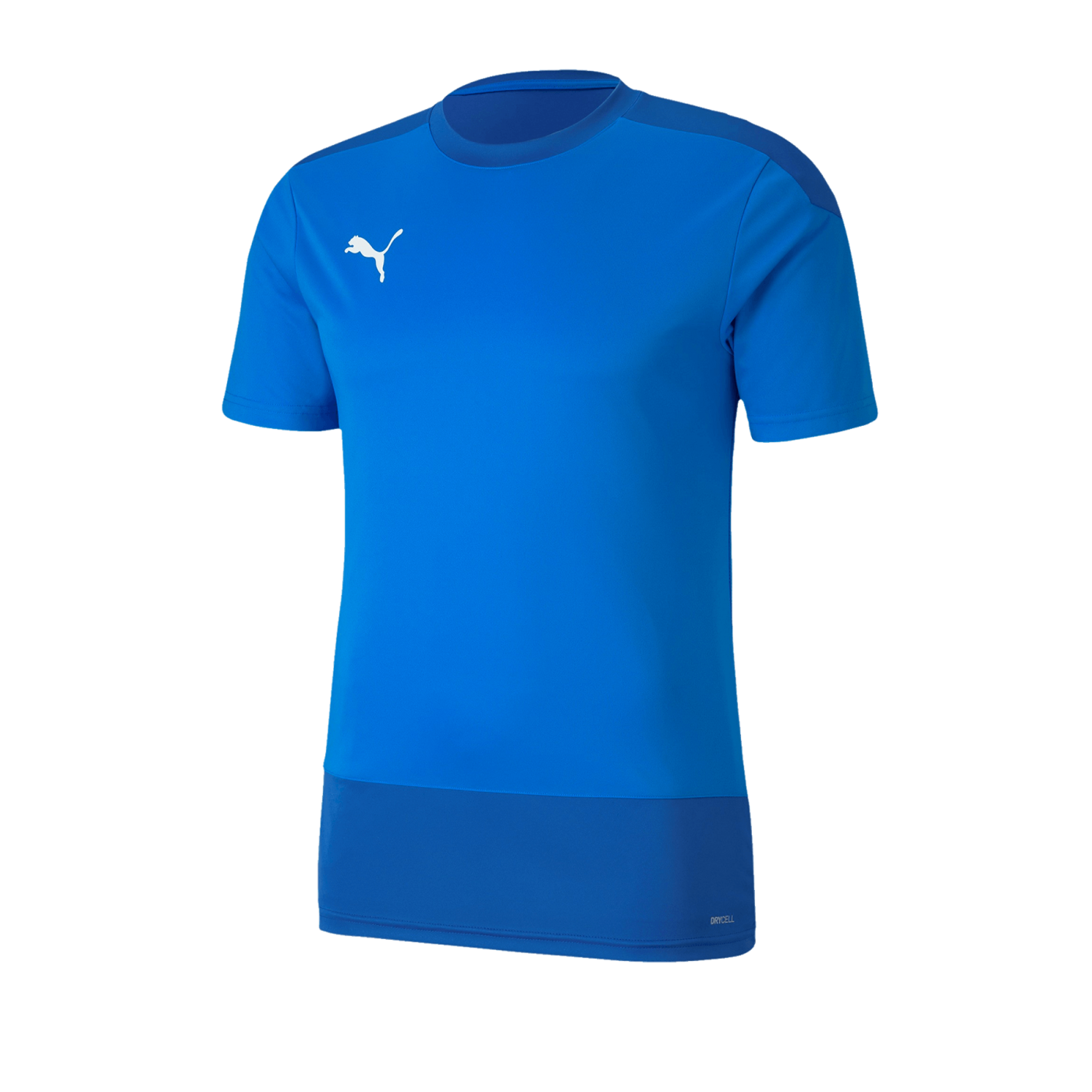 PUMA teamGOAL 23 Training Trikot Blau F02