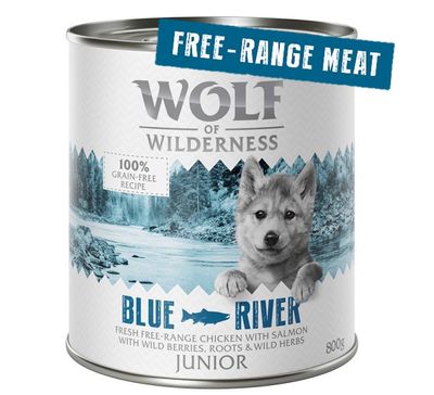 Wolf of Wilderness Junior 6 x 800 g - 