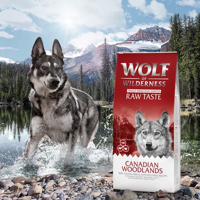 2 x 12 kg Wolf of Wilderness 
