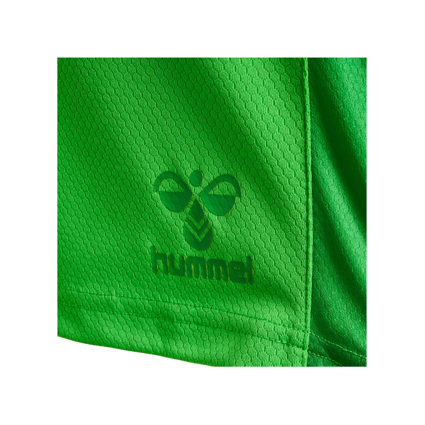 Hummel DBU Dänemark TW-Short WM 2022 Grün F5244