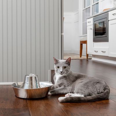 PetSafe® Edelstahl-Trinkbrunnen Küstenrauschen