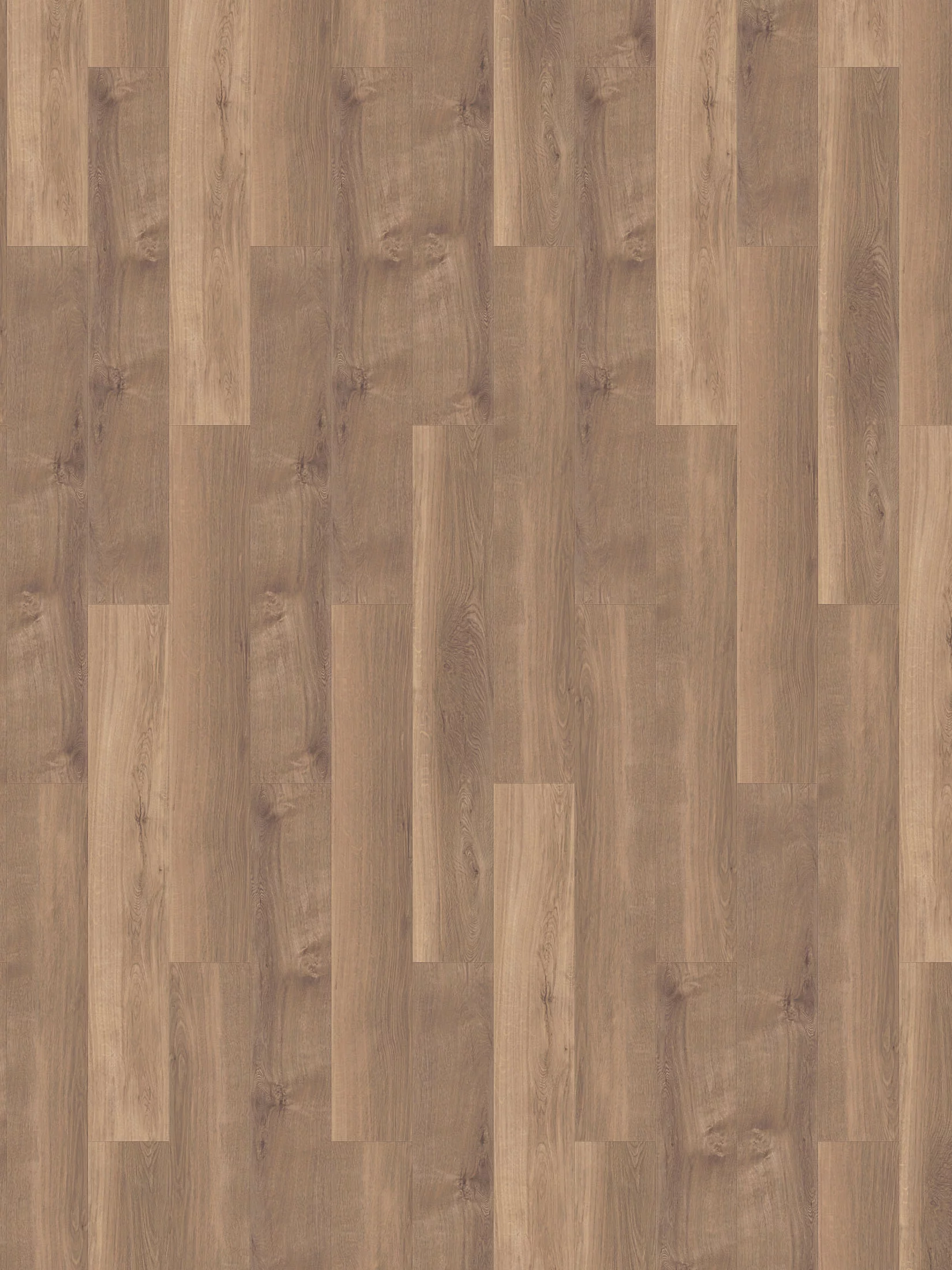 Tornby Vinylboden, Canyon Oak Coll23115