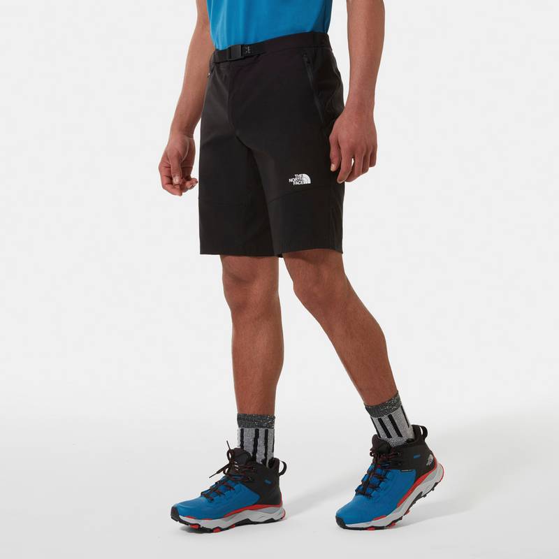 The North Face LIGHTNING Funktionsshorts Herren