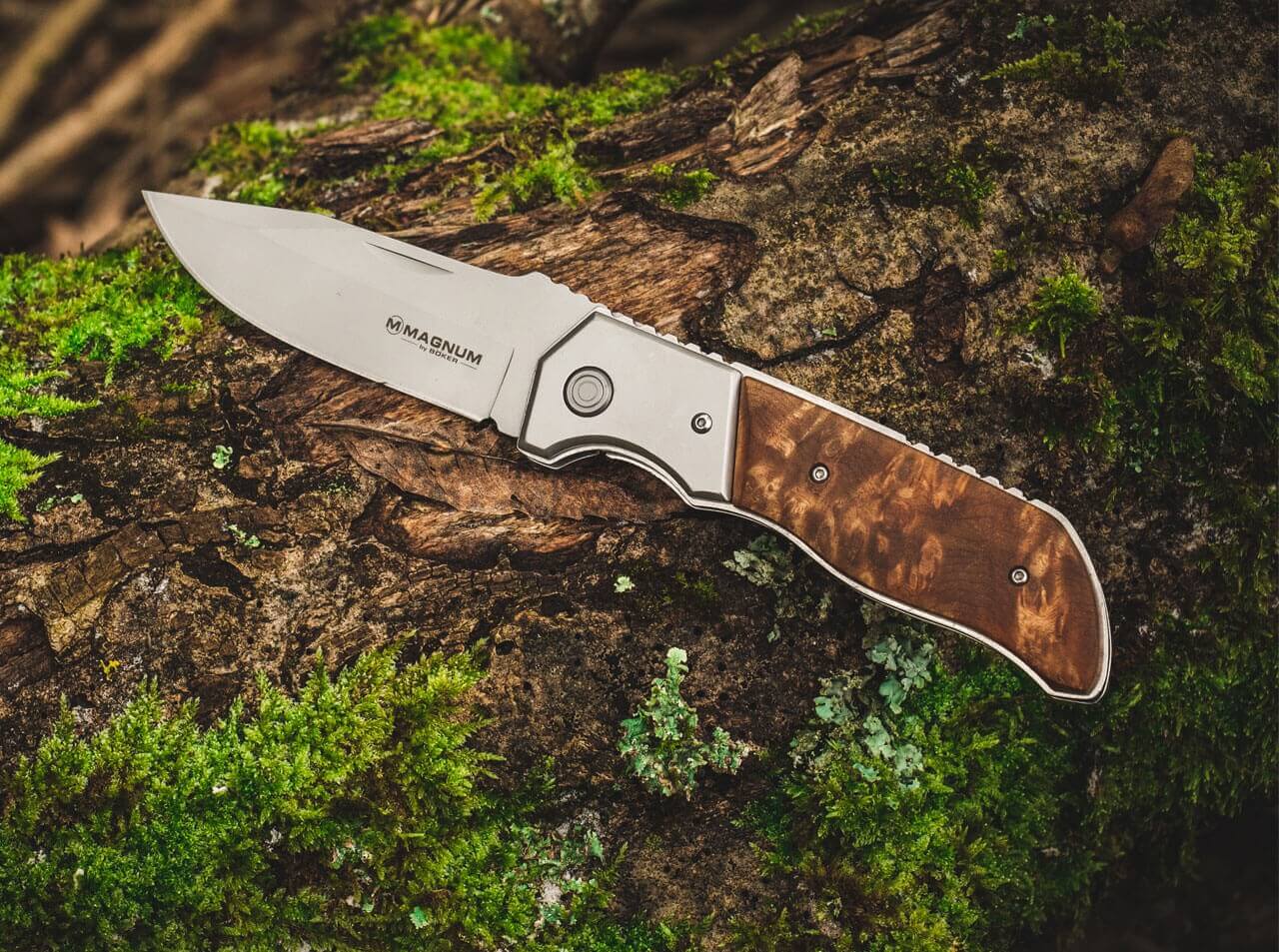 Forest Ranger 42