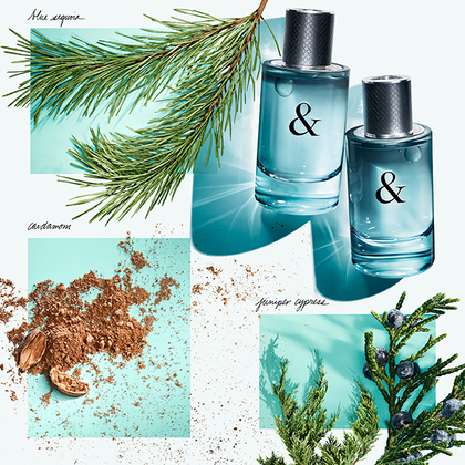 Tiffany & Co Tiffany & Love for Him Eau de Toilette Spray